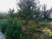 Satılır Həyət evi, Sabunçu.r, Ramana, Koroğlu.m-4