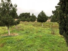 Satılır Torpaq, Xəzər.r, Mərdəkan, Koroğlu.m-1