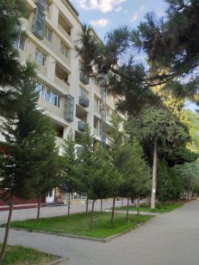 Satılır Köhnə Tikili, Nəsimi.r, 28 May.m-10