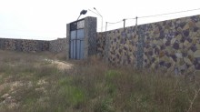 Satılır Torpaq, Xəzər.r, Mərdəkan, Koroğlu.m-3