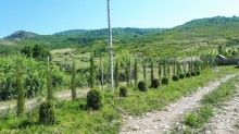 Satılır Torpaq, İsmayıllı.ş-2