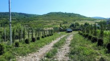 Satılır Torpaq, İsmayıllı.ş-6