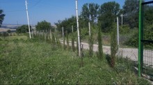 Satılır Torpaq, İsmayıllı.ş-13