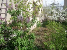 Satılır Həyət evi, Binəqədi.r, Rəsulzadə-19