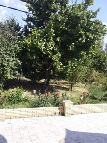 Satılır Həyət evi, Naxçıvan.ş-2