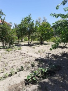 Satılır Həyət evi, Sabunçu.r, Bilgəh-8