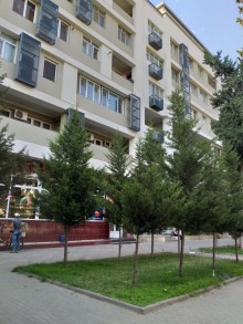 Satılır Köhnə Tikili, Nəsimi.r, 28 May.m-1