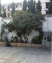 Satılır Həyət evi, Nərimanov.r, Gənclik.m-6