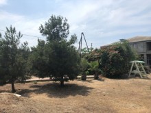Satılır Torpaq, Xəzər.r, Mərdəkan, Koroğlu.m-2