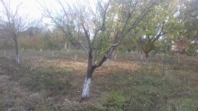 Satılır Həyət evi, Xaçmaz.ş-6