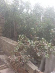 Satılır Həyət evi, Sabunçu.r, Sabunçu-2