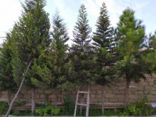 Satılır Həyət evi, Suraxanı.r, Zığ-8