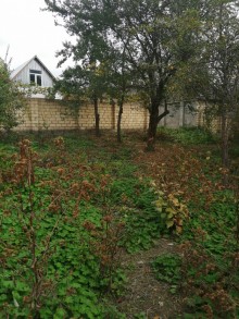 Satılır Torpaq, Qəbələ.ş-4