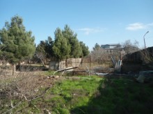 goradilde heyet evleri satisi, -14