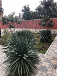 Satılır Həyət evi, Sabunçu.r, Bakıxanov-6