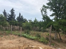 Satılır Torpaq, Xəzər.r, Mərdəkan, Koroğlu.m-3