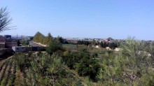 Satılır Torpaq, Sabunçu.r, Maştağa-1