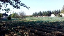 Satılır Torpaq, Sabunçu.r, Maştağa-4