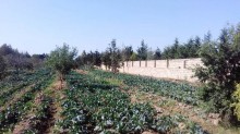 Satılır Torpaq, Sabunçu.r, Maştağa-17