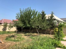 Satılır Torpaq, Xəzər.r, Buzovna, Koroğlu.m-1