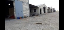 Satılır Obyekt, Xaçmaz.ş-5