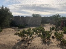 Satılır Torpaq, Xəzər.r, Mərdəkan, Koroğlu.m-2