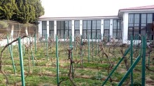 Satılır Villa, Abşeron.r, Novxanı-9