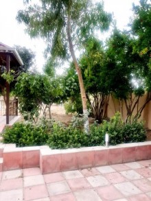 Satılır Həyət evi, Sabunçu.r, Bilgəh-19