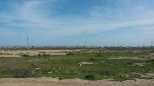 Satılır Torpaq, Abşeron.r, Pereküşkül-1