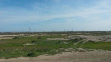 Satılır Torpaq, Abşeron.r, Pereküşkül-2