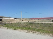 Satılır Torpaq, Abşeron.r, Pereküşkül-4