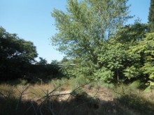 Satılır Torpaq, Səbail.r, Badamdar-4