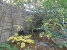 Satılır Torpaq, Səbail.r, Badamdar-6