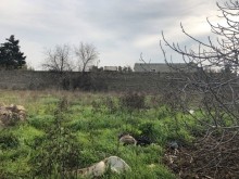 Satılır Torpaq, Xəzər.r, Mərdəkan, Koroğlu.m-4