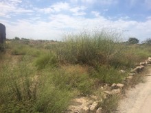 Satılır Torpaq, Sabunçu.r, Nardaran, Koroğlu.m-5
