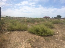 Satılır Torpaq, Sabunçu.r, Nardaran, Koroğlu.m-12