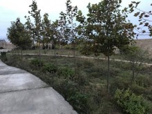 Satılır Torpaq, Xəzər.r, Şüvəlan, Koroğlu.m-7