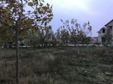 Satılır Torpaq, Xəzər.r, Şüvəlan, Koroğlu.m-10