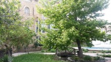 Satılır Həyət evi, Səbail.r, Badamdar-20