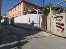 Satılır Torpaq, Səbail.r, Badamdar-2