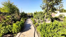 Satılır Villa, Xəzər.r, Buzovna-7