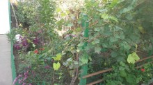 Satılır Həyət evi, Binəqədi.r, Biləcəri, Avtovağzal.m-11