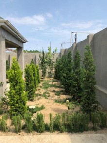 Satılır Həyət evi, Sabunçu.r, Bilgəh-18