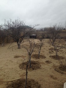 Satılır Həyət evi, Abşeron.r-16