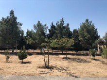 Satılır Torpaq, Xəzər.r, Mərdəkan, Koroğlu.m-3