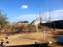Satılır Həyət evi, Sabunçu.r, Bilgəh-10