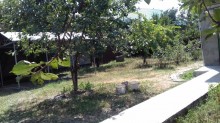 Satılır Həyət evi, Qəbələ.ş-2