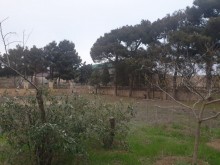 Satılır Torpaq, Xəzər.r, Mərdəkan, Koroğlu.m-8