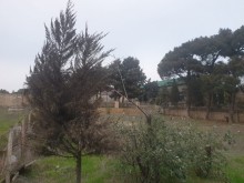 Satılır Torpaq, Xəzər.r, Mərdəkan, Koroğlu.m-9