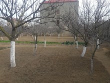 Satılır Torpaq, Xəzər.r, Buzovna-7